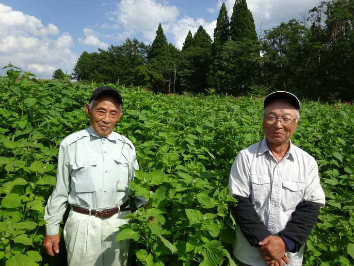 【ふるさと納税】国産えごま油　尾花沢産黒えごま生しぼり油・えごまドレッシングセット（各1本）【国産・えごま油・ドレッシング・詰め合わせ】 サムネイル2