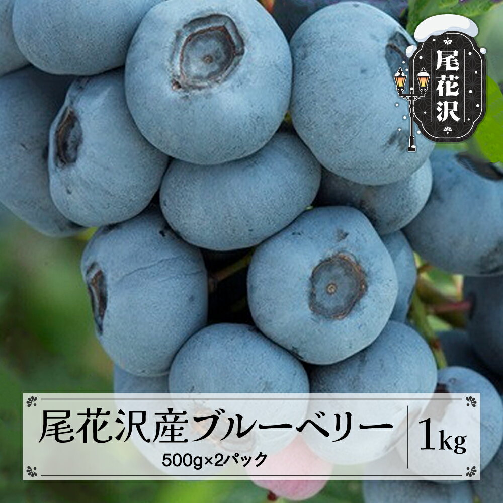 尾花沢産 とれたて 完熟 ブルーベリー 生果実 1kg 500g×2パック 7月中旬~下旬頃発送 令和8年産 2026年産 フルーツ 果物 産地直送 山形県 尾花沢市 送料無料 着日指定不可 kb-bbxxx1000 ※沖縄・離島への配送不可