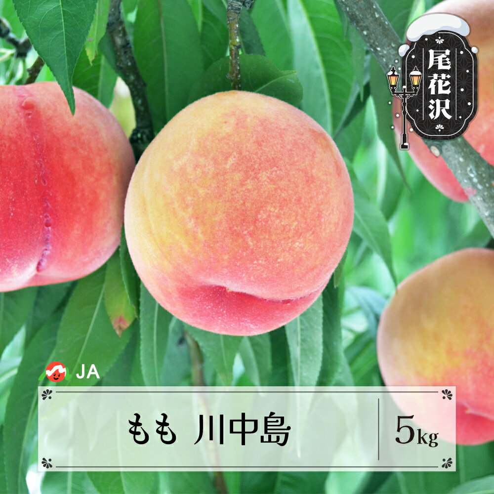 先行予約 もも 桃 川中島 約5kg 秀 20玉以上 8月中旬~9月上旬頃発送 令和8年産 2026年産 果物 送料無料 ja-moknx5-b※沖縄・離島への配送不可
