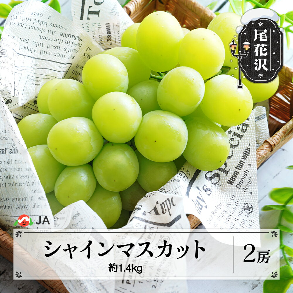 先行予約 シャインマスカット 約1.4kg 2房 令和8年産 2026年産 9月中旬~10月下旬頃発送 ぶどう ブドウ 果物 フルーツ 山形県産 送料無料 ja-busmx1400-b※沖縄・離島への配送不可