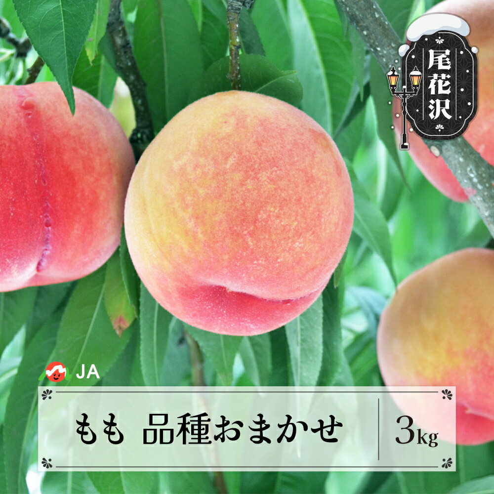 先行予約 もも 品種おまかせ 約3kg 8月中旬〜9月上旬頃発送 令和8年産 2026年産 桃 モモ 果物 フルーツ 山形県産 送料無料 ja-moxxx3-b※沖縄・離島への配送不可
