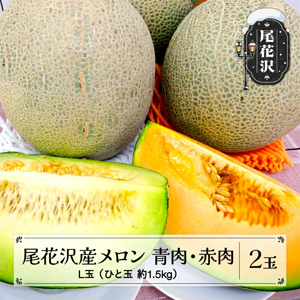 メロン 2種類 青肉・赤肉セット 7月下旬~8月上旬頃発送 令和8年産 2026年産 山形県 尾花沢市 送料無料 観光物産 kb-mlrbx2 ※沖縄・離島への配送不可