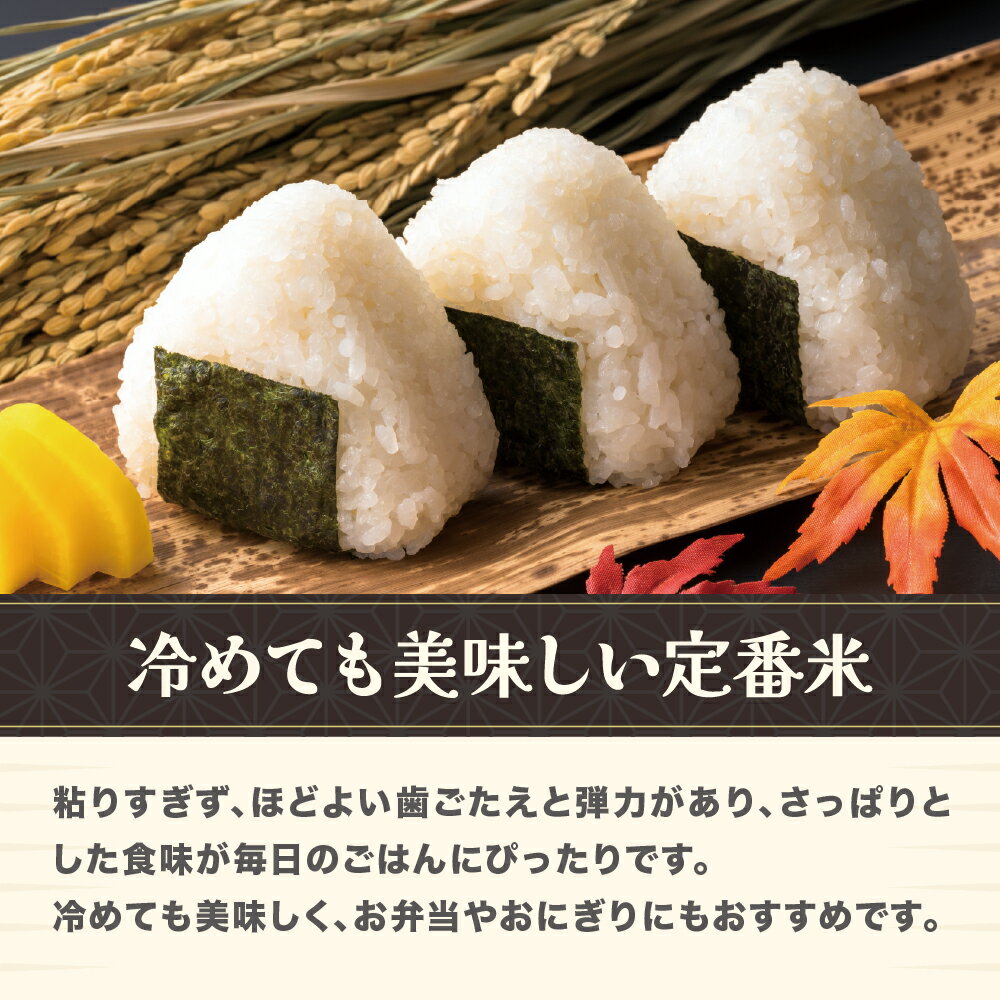 【ふるさと納税】令和7年産 精米 はえぬき 20kg 5kg×4 選べる配送時期 11月上旬~8月下旬発送 2025年産 米 お米 国産 山形県 尾花沢市 送料無料 ja-hasxa20※着日指定不可※沖縄・離島への配送不可 - 画像3