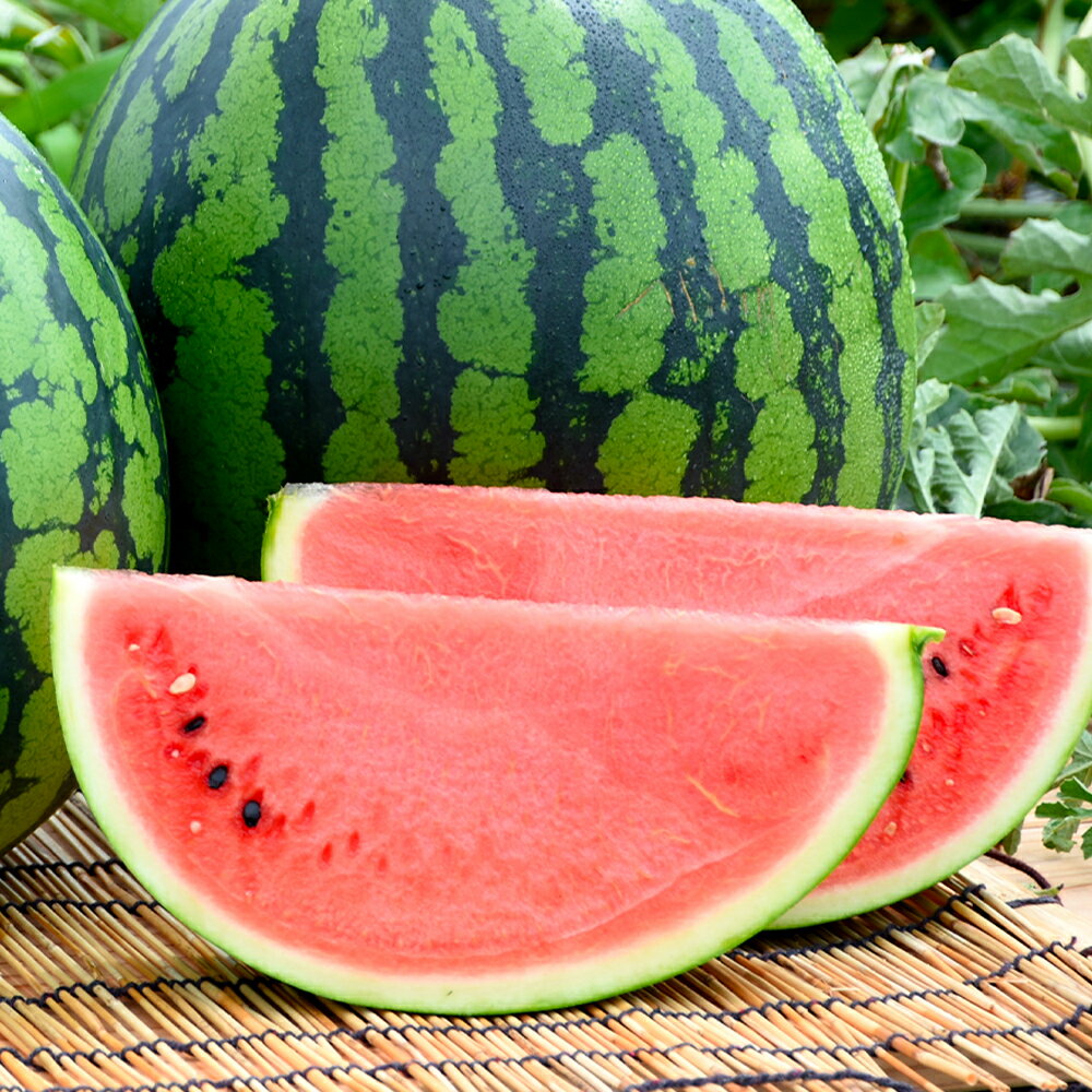 【ふるさと納税】先行予約 全4回 フルーツ定期便 令和8年産 さくらんぼ 佐藤錦 尾花沢すいか もも ラ・フランス 2026年産 山形 東北 国産 果物 くだもの サクランボ スイカ 西瓜 洋梨 西洋梨 お取り寄せ 送料無料 ja-ft4xx-b ※沖縄・離島への配送不可 サムネイル3