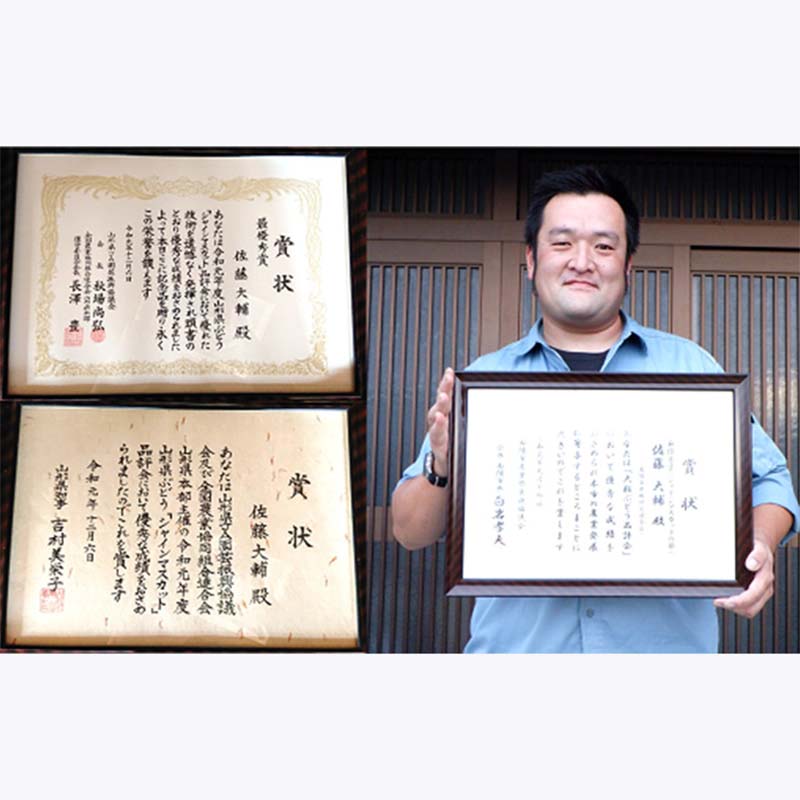 【ふるさと納税】 【令和8年産先行予約】 【最優秀賞W受賞農家】 シャインマスカット 700g以上 (1房 特選) 《令和8年9月中旬～発送》『生産者 佐藤 大輔』 マスカット 葡萄 ぶどう 果物 フルーツ デザート 山形県 南陽市 [1031] サムネイル2