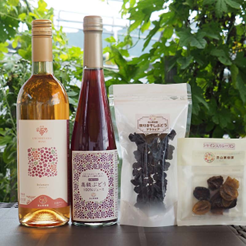 【ふるさと納税】 果樹園生まれの 漆山ワイン (デラウェア) + 高級ぶどう果汁100%ジュース + 枝付き干しぶどうセット 『漆山果樹園』 山形県 南陽市 [784] サムネイル2
