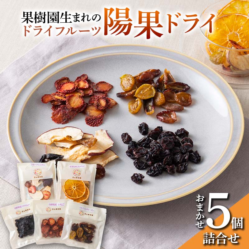 果樹園生まれの ドライフルーツ 「陽果ドライ」 おまかせ5個詰合せ 『漆山果樹園』 山形県 南陽市 [494]