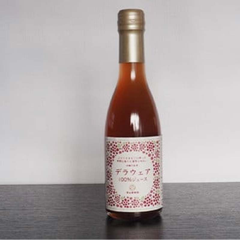 【ふるさと納税】 果樹園生まれの 無添加ギフトセット 『漆山果樹園』 山形県 南陽市 [664] サムネイル3