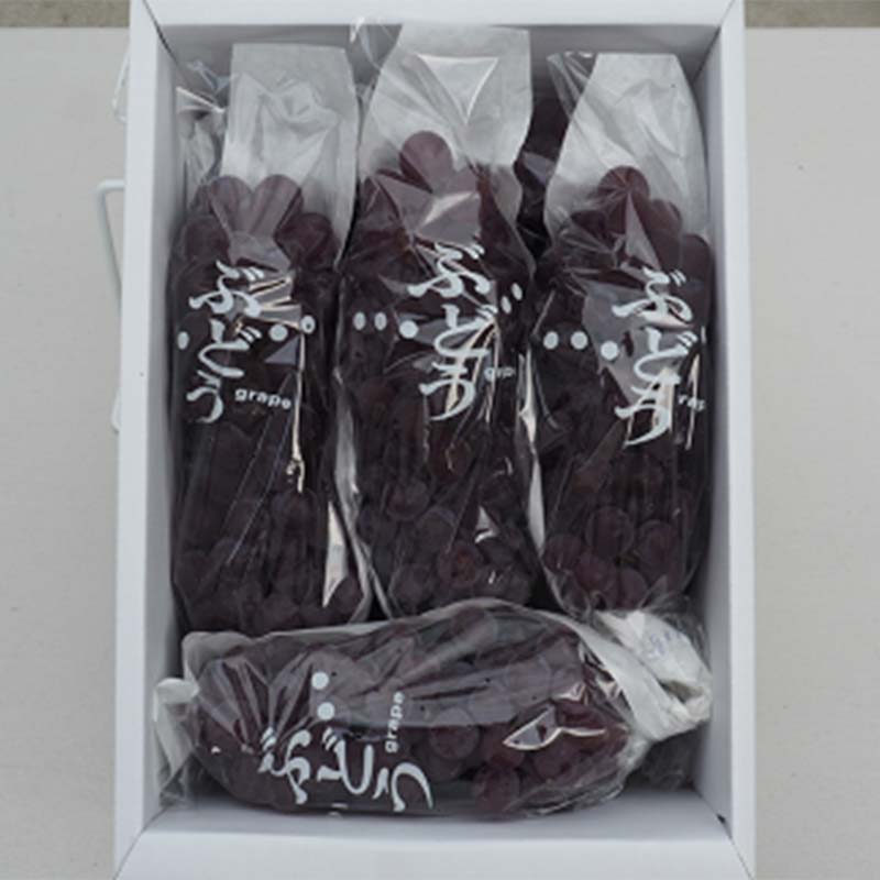 【ふるさと納税】 【令和8年産先行予約】 デラウェア 1箱 (5房前後入り) ＋ 漆山ワイン (デラウェア) ＋ 高級ぶどう果汁100%ジュース ＋ 枝付き干しぶどう 《令和8年7月中旬～発送》 『漆山果樹園』 山形県 南陽市 [785] サムネイル2