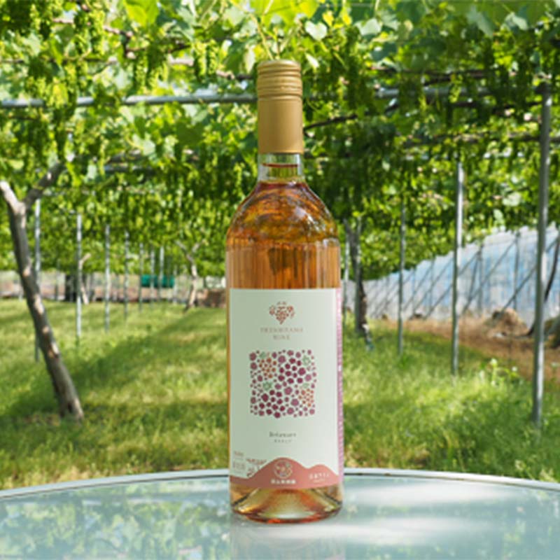 【ふるさと納税】 【令和8年産先行予約】 デラウェア 1箱 (5房前後入り) ＋ 漆山ワイン (デラウェア) ＋ 高級ぶどう果汁100%ジュース ＋ 枝付き干しぶどう 《令和8年7月中旬～発送》 『漆山果樹園』 山形県 南陽市 [785] サムネイル3