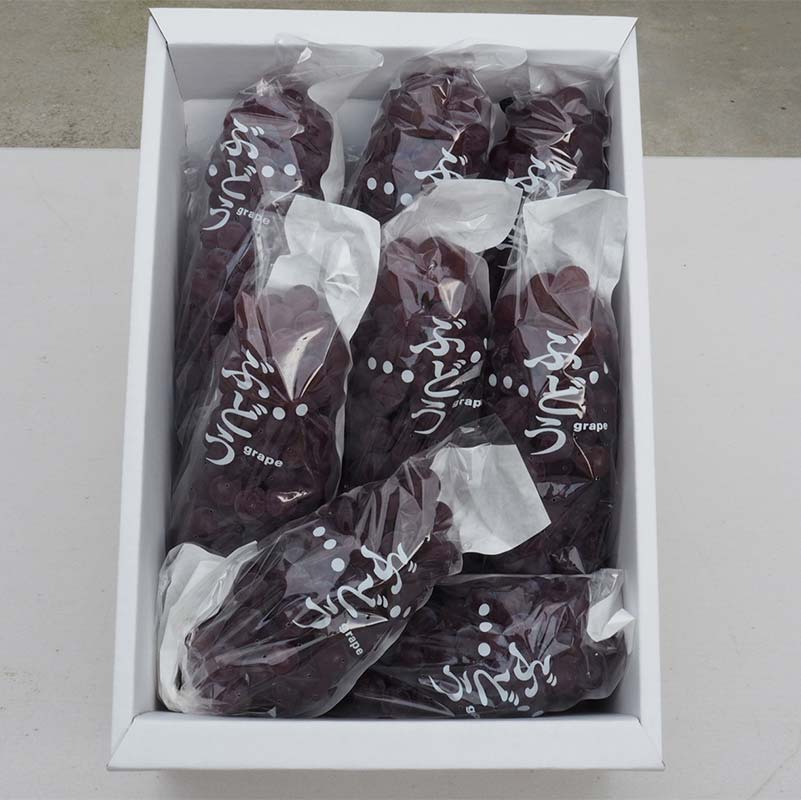 【ふるさと納税】 【令和8年産先行予約】 朝どりデラウェア 1箱 (9房前後入り) 《令和8年7月中旬～発送》 『漆山果樹園』 葡萄 ぶどう ブドウ 種なし 新鮮 果物 フルーツ デザート 山形県 南陽市 [661] サムネイル3