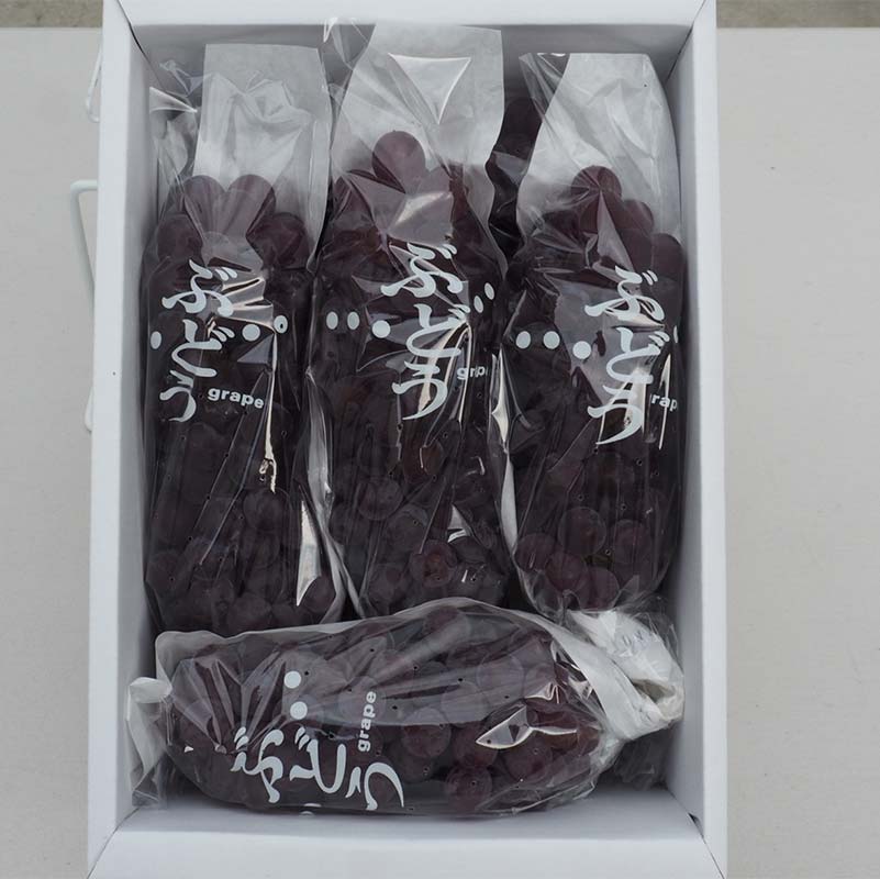 【ふるさと納税】 【令和8年産先行予約】 朝どりデラウェア 3箱 (1箱5房前後入り) 《令和8年7月中旬～発送》 『漆山果樹園』 葡萄 ぶどう ブドウ 種なし 新鮮 果物 フルーツ デザート 山形県 南陽市 [703] サムネイル2