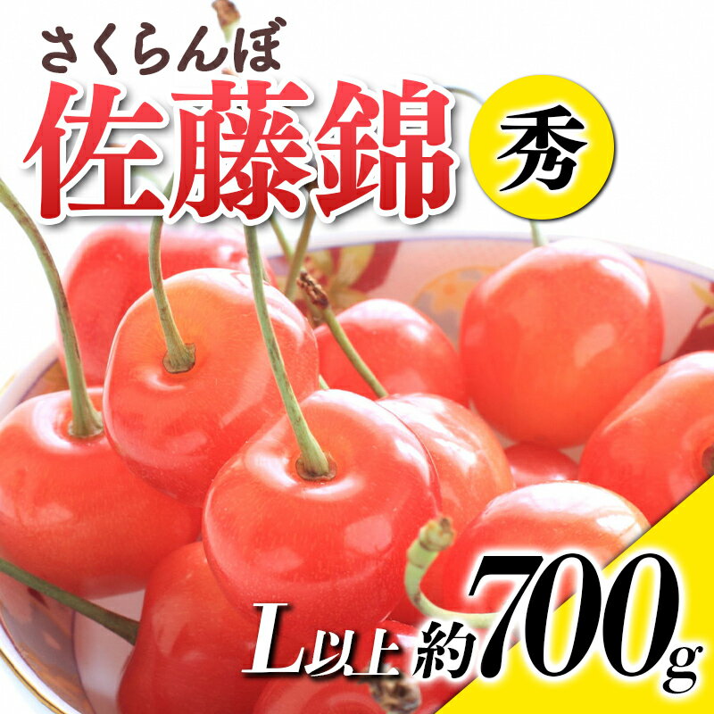 【令和8年産先行予約】 さくらんぼ 「佐藤錦」 約700g (秀 L以上) バラ詰め 《令和8年6月上旬～発送》 『生産者おまかせ』 サクランボ 果物 フルーツ 産地直送 生産農家直送 山形県 南陽市 [884]