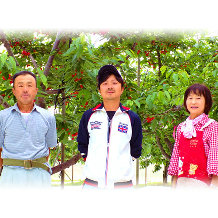 【ふるさと納税】 【令和8年産先行予約】 〈訳あり品 家庭用〉 さくらんぼ 「佐藤錦」 約800g (200g×4パック Mサイズ) 《令和8年6月中旬～発送》 『田口農園』 サクランボ 生産農家直送 小分け 果物 フルーツ 山形県 南陽市 [1691] サムネイル3