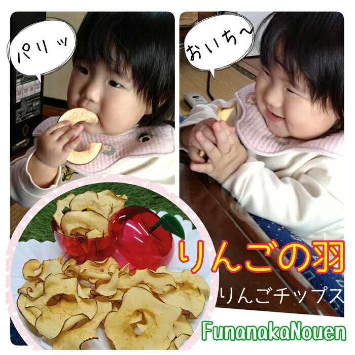【ふるさと納税】【野菜ソムリエサミット金賞受賞】 りんごの羽（無添加・ノンフライりんごチップス） 2袋セット 『船中農園』 山形県 南陽市 [1850] サムネイル3