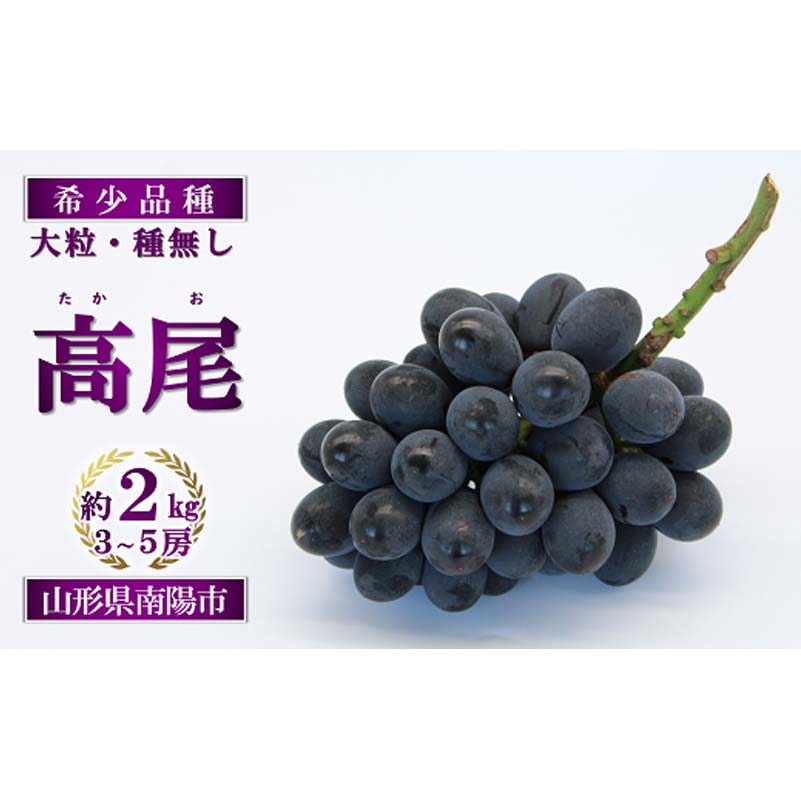 【令和8年産先行予約】 希少品種の黒系ぶどう 「高尾」 約2kg (3〜5房 秀) 《令和8年9月頃〜発送》 『南陽中央青果市場』果物 フルーツ デザート 山形県 南陽市 [1043]