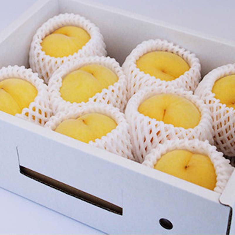 【ふるさと納税】 【令和8年産先行予約】 黄桃 「黄ららのきわみ」 約2kg (6～9玉 秀) 《令和8年9月中旬～発送》 『南陽中央青果市場』 桃 もも 果物 フルーツ デザート 山形県 南陽市 [1044] サムネイル2