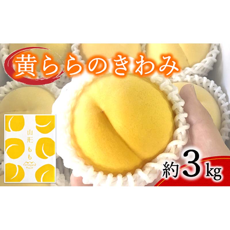 【令和8年産先行予約】 黄桃 「黄ららのきわみ」 約3kg (9～12玉 秀) 《令和8年9月中旬～発送》 『南陽中央青果市場』 桃 もも 果物 フルーツ デザート 山形県 南陽市 [1045]