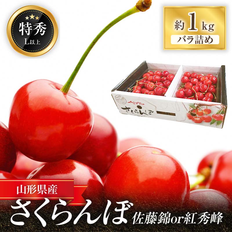 【令和8年産先行予約】 さくらんぼ「佐藤錦または紅秀峰」 約1kg (特秀 L以上) 《令和8年6月中旬～発送》 『マルエ青果』 先行予約 サクランボ 果物 フルーツ 山形県 南陽市 [1115]