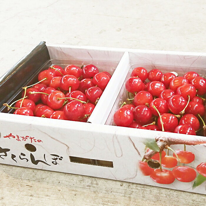 【ふるさと納税】 【令和8年産先行予約】 さくらんぼ「佐藤錦または紅秀峰」 約1kg (特秀 L以上) 《令和8年6月中旬～発送》 『マルエ青果』 先行予約 サクランボ 果物 フルーツ 山形県 南陽市 [1115] サムネイル2