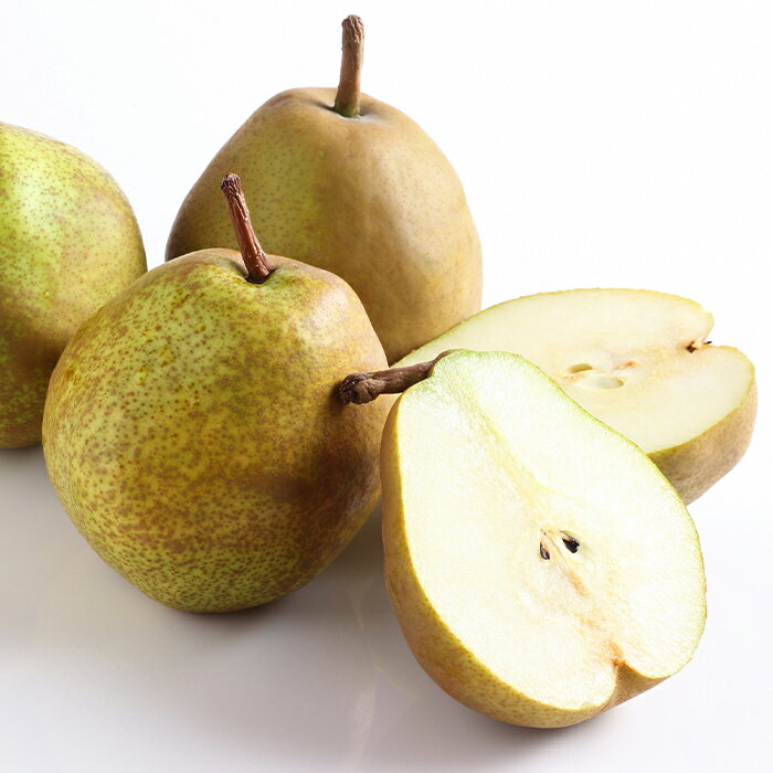 【ふるさと納税】【令和7年産先行予約】 JA ラ・フランス 約2kg (5～6玉 特秀) 《令和7年11月上旬～12月上旬発送》 『JA山形おきたま』 洋梨 果物 フルーツ 山形県 南陽市 [1159-R7] サムネイル2