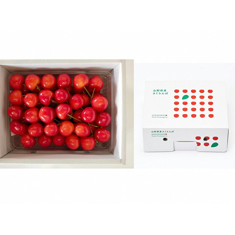 【ふるさと納税】 【令和8年産先行予約】 さくらんぼ 「佐藤錦または紅秀峰」 約500g (秀 L以上) バラ詰め 《令和8年6月上旬～発送》 『南陽中央青果市場』 サクランボ 果物 フルーツ 山形県 南陽市 [1203] サムネイル2