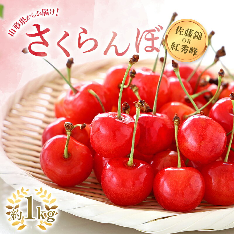 【令和8年産先行予約】 さくらんぼ 「佐藤錦または紅秀峰」 約1kg (秀 L以上) バラ詰め 《令和8年6月上旬～発送》 『南陽中央青果市場』 サクランボ 果物 フルーツ 山形県 南陽市 [1204]