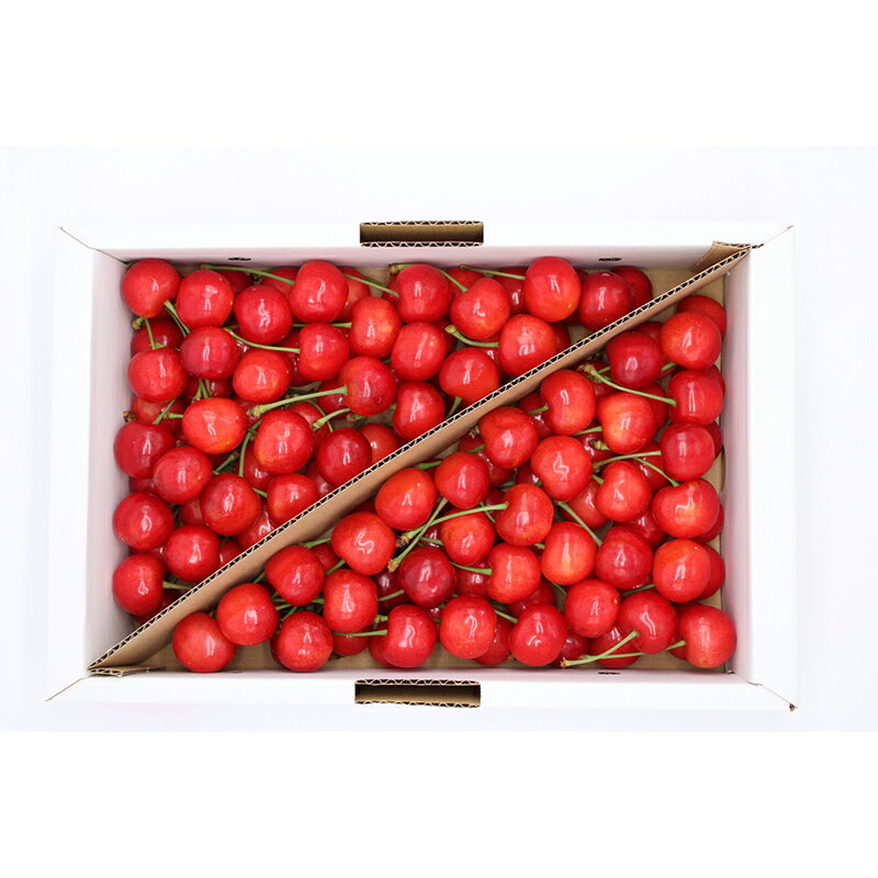 【ふるさと納税】 【令和8年産先行予約】 さくらんぼ 「佐藤錦または紅秀峰」 約1kg (秀 L以上) バラ詰め 《令和8年6月上旬～発送》 『南陽中央青果市場』 サクランボ 果物 フルーツ 山形県 南陽市 [1204] サムネイル2