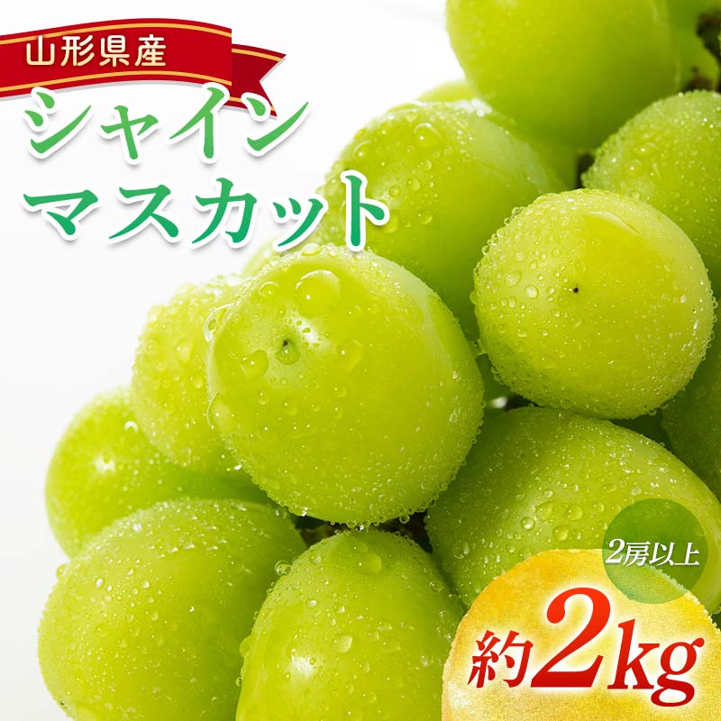 【令和8年産先行予約】 シャインマスカット 約2kg (2房以上) 《令和8年9月頃～発送》 『南陽中央青果市場』 マスカット ぶどう 果物 フルーツ デザート 山形県 南陽市 [1205]