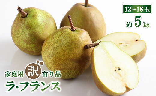 【令和7年産先行予約】 〈訳あり品 家庭用〉 ラ・フランス 約5kg（12～18玉） 《令和7年11月上旬～発送》 『生産者 山岸 誠』 山形県 南陽市 [1439]