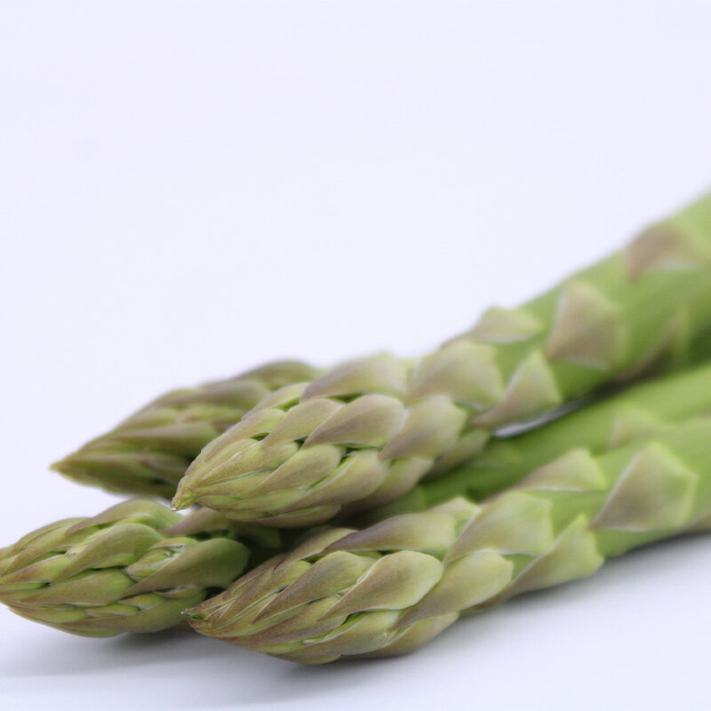 【ふるさと納税】 【令和8年産先行予約】 アスパラガス (春芽) 約1kg (3Lサイズ 約20〜30本前後) 《令和8年5月〜発送》 『生産者 吉田 太一』 山形南陽産 農家直送 山形県 南陽市 [1526] - 画像2