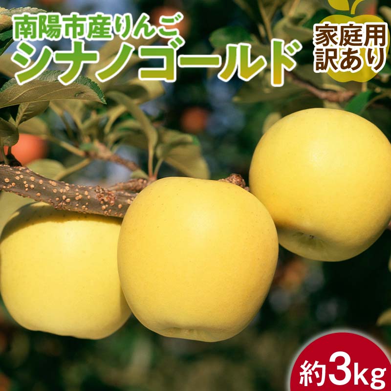 【令和7年産先行予約】 〈訳あり品 家庭用〉 りんご ｢シナノゴールド｣ 約3kg (8～12玉前後) 《令和7年10月中旬～発送》 『平農園』 リンゴ 果物 フルーツ 産地直送 生産農家直送 山形県 南陽市 [1647]