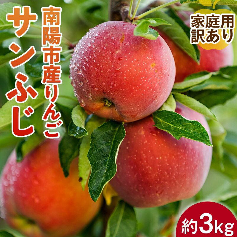 【令和7年産先行予約】 〈訳あり品 家庭用〉 りんご ｢サンふじ｣ 約3kg (8～12玉前後) 《令和7年11月下旬～発送》 『平農園』 リンゴ 果物 フルーツ 産地直送 生産農家直送 山形県 南陽市 [1650]