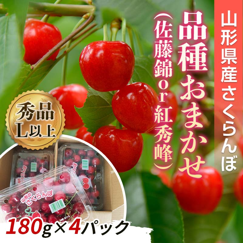 【令和8年産先行予約】 さくらんぼ 「佐藤錦または紅秀峰」 720g (180g×4パック 秀 L以上) 《令和8年6月上旬～発送》 『南陽中央青果市場』 小分け フードパック サクランボ 果物 フルーツ 山形県 南陽市 [1476]
