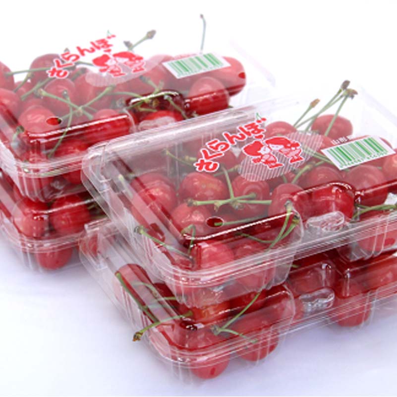 【ふるさと納税】 【令和8年産先行予約】 さくらんぼ 「佐藤錦または紅秀峰」 720g (180g×4パック 秀 L以上) 《令和8年6月上旬～発送》 『南陽中央青果市場』 小分け フードパック サクランボ 果物 フルーツ 山形県 南陽市 [1476] サムネイル2