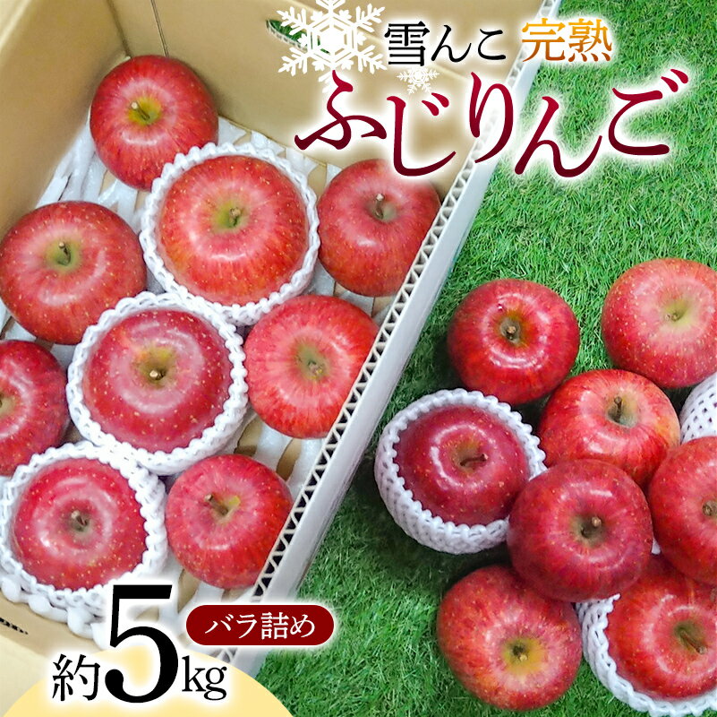 【令和7年産先行予約】 雪んこ 完熟ふじりんご 約5kg バラ詰め 《令和8年1月上旬～発送》 【全国りんご選手権 銀賞】 『船中農園』 りんご リンゴ ふじ ふじりんご 完熟 果物 フルーツ デザート 山形県 南陽市 [1848]