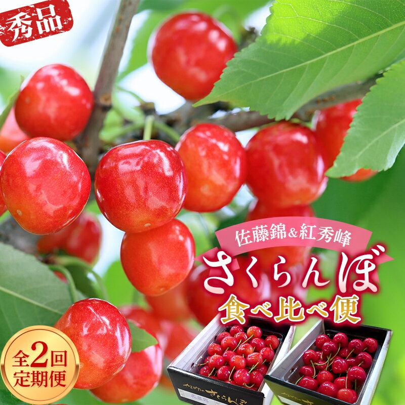 【令和8年産先行予約】 《定期便2回》 さくらんぼ食べ比べ定期便 「佐藤錦・紅秀峰」 各500g (秀品) 『マルエ青果』 果物 くだもの フルーツ 山形県 南陽市 [1888]