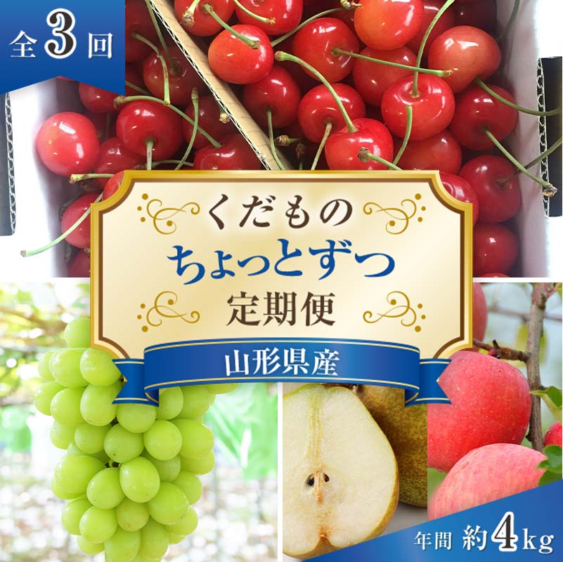 【令和8年産先行予約】 《定期便3回》 くだもの”ちょっとずつ”定期便 『南陽中央青果市場』 さくらんぼ シャインマスカット りんご ラ・フランス 山形県 南陽市 [1013-R8]