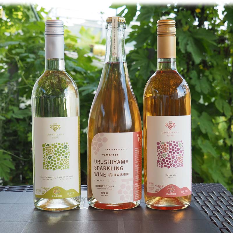 【ふるさと納税】 果樹園生まれの 漆山果樹園ワイン 「漆山ワイン (デラウェア) + 漆山ワイン (シャイン＆ロザリオ) + 漆山スパークリングワイン (デラウェア)」 3種 各750ml 計3本セット 『漆山果樹園』 山形県 南陽市 [2079] サムネイル2