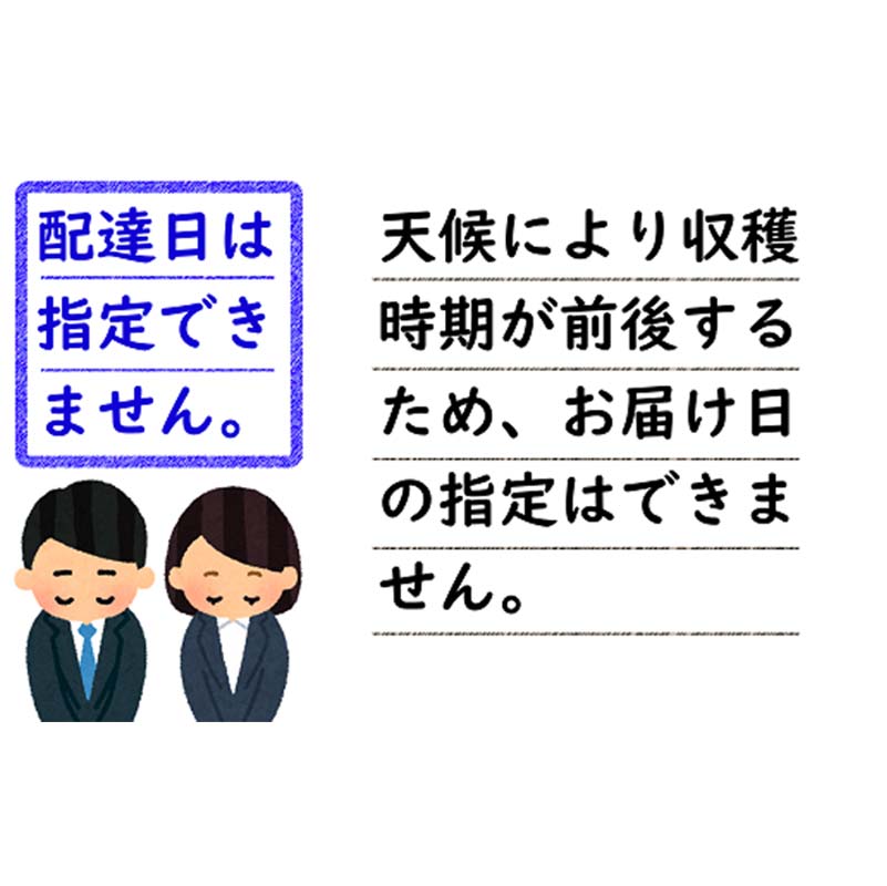 【ふるさと納税】【令和8年産先行予約】 さくらんぼ 「佐藤錦」 約500g (秀 2L以上) バラパック詰め 《令和8年6月上旬～発送》 『生産者 佐藤 勇二』 サクランボ 果物 フルーツ 産地直送 生産農家直送 山形県 南陽市 [2234] サムネイル3