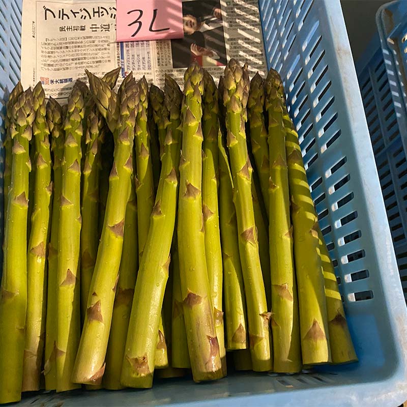 【ふるさと納税】【令和8年産先行予約】 アスパラガス (春芽) 約1kg (3Lサイズ 約20～25本前後) 《令和8年5月～発送》 『生産者 紺野 幸陽』 グリーン 山形南陽産 農家直送 山形県 南陽市 [2243] - 画像2