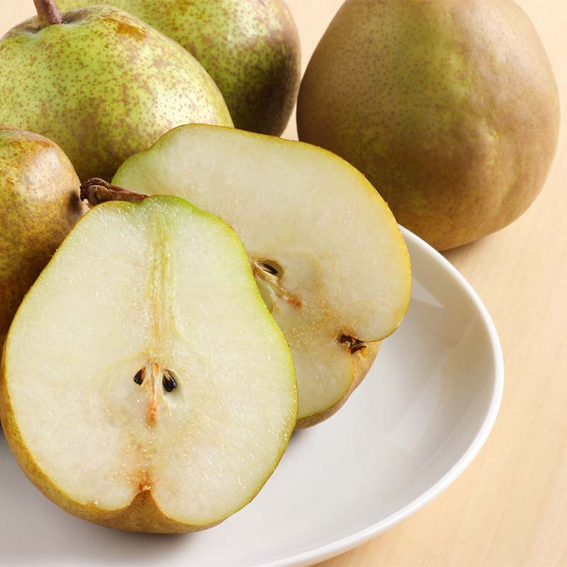 【ふるさと納税】 【令和8年産先行予約】 大玉ラ・フランス 約3kg (7～8玉 特秀 5L) 《令和8年10月中旬～発送》 『生産者 沼澤 裕太』 ラフランス 西洋梨 洋なし 果物 フルーツ デザート 山形南陽産 山形県 南陽市 [2249-R8] サムネイル2