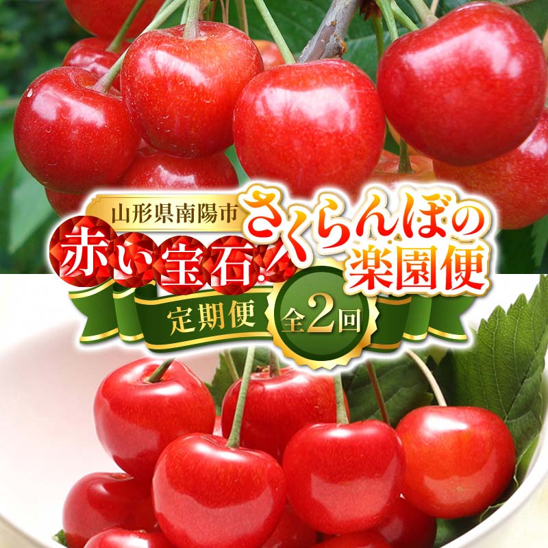 【令和8年産先行予約】 《定期便2回》 赤い宝石！さくらんぼの楽園便 「佐藤錦・紅秀峰」 各約800g (約200g×4パック 秀 L以上) 『フードシステムズ』 サクランボ 果物 フルーツ 山形県 南陽市 [894]