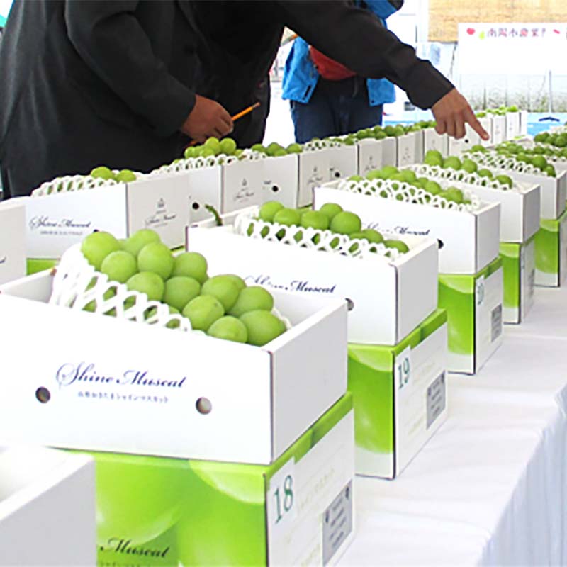 【ふるさと納税】 【令和7年産先行予約】【最優秀賞W受賞農家】 冬のシャインマスカット 約700g (1房 秀) 《令和7年12月上旬～発送》『生産者 佐藤 大輔』 マスカット ぶどう 果物 フルーツ デザート 山形県 南陽市 [2237] サムネイル3