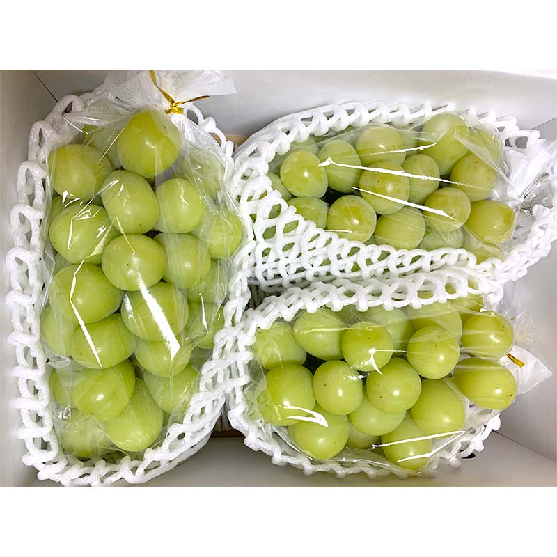 【ふるさと納税】 【令和8年産先行予約】 シャインマスカット 【選べる容量 1.2kg前後（2房入り）／1.8kg前後 (3～4房入り) 】《令和8年9月下旬～発送》 『きらめきぶどう園』 マスカット ぶどう 果物 フルーツ デザート 山形南陽産 山形県 南陽市 [858-R8] サムネイル3