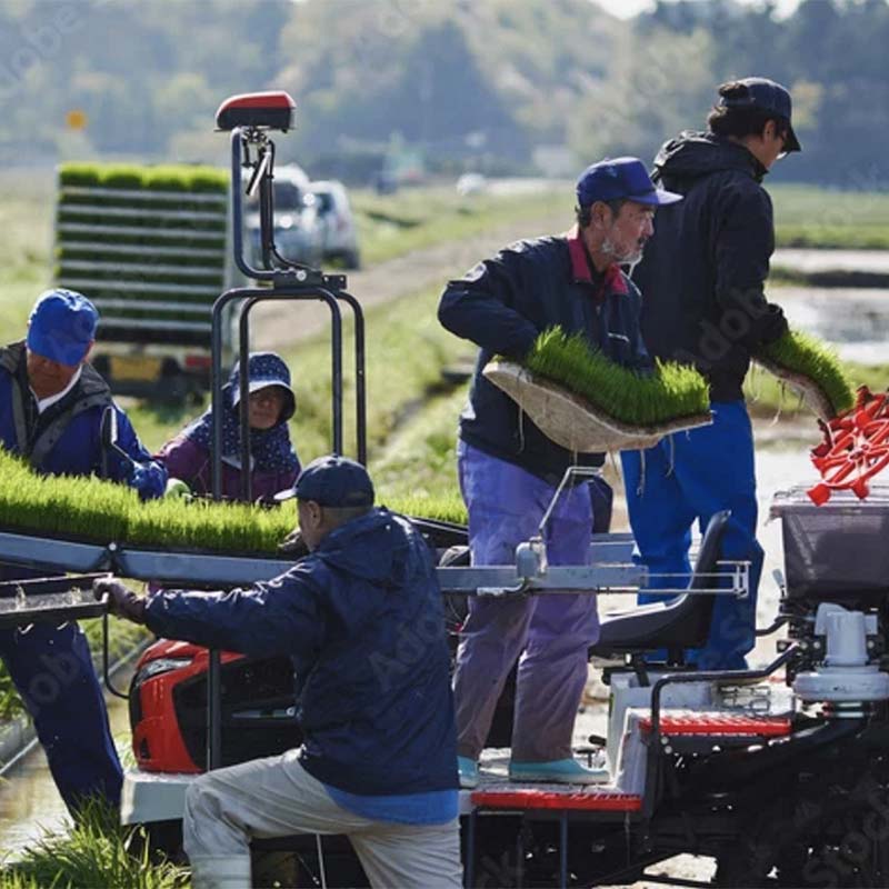 【ふるさと納税】 【金賞受賞農家】 《定期便3回》 令和7年産 特別栽培米 つや姫 (玄米) 5kg×3か月 『あおきライスファーム』 山形南陽産 米 玄米 ご飯 農家直送 山形県 南陽市 [2628] - 画像3