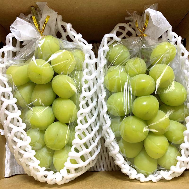 【ふるさと納税】 【令和8年産先行予約】 シャインマスカット 【選べる容量 1.2kg前後（2房入り）／1.8kg前後 (3～4房入り) 】《令和8年9月下旬～発送》 『きらめきぶどう園』 マスカット ぶどう 果物 フルーツ デザート 山形南陽産 山形県 南陽市 [858-R8] サムネイル2