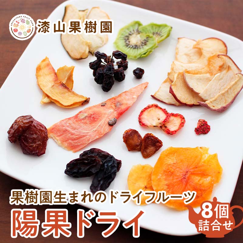 果樹園生まれの ドライフルーツ 「陽果ドライ」 おまかせ8個詰合せ 『漆山果樹園』 山形県 南陽市 [3031]