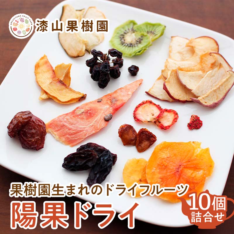 果樹園生まれの ドライフルーツ 「陽果ドライ」 10個詰合せ (枝付き干しぶどう入り) 『漆山果樹園』 デラウェア シャインマスカット 山形県 南陽市 [2419]