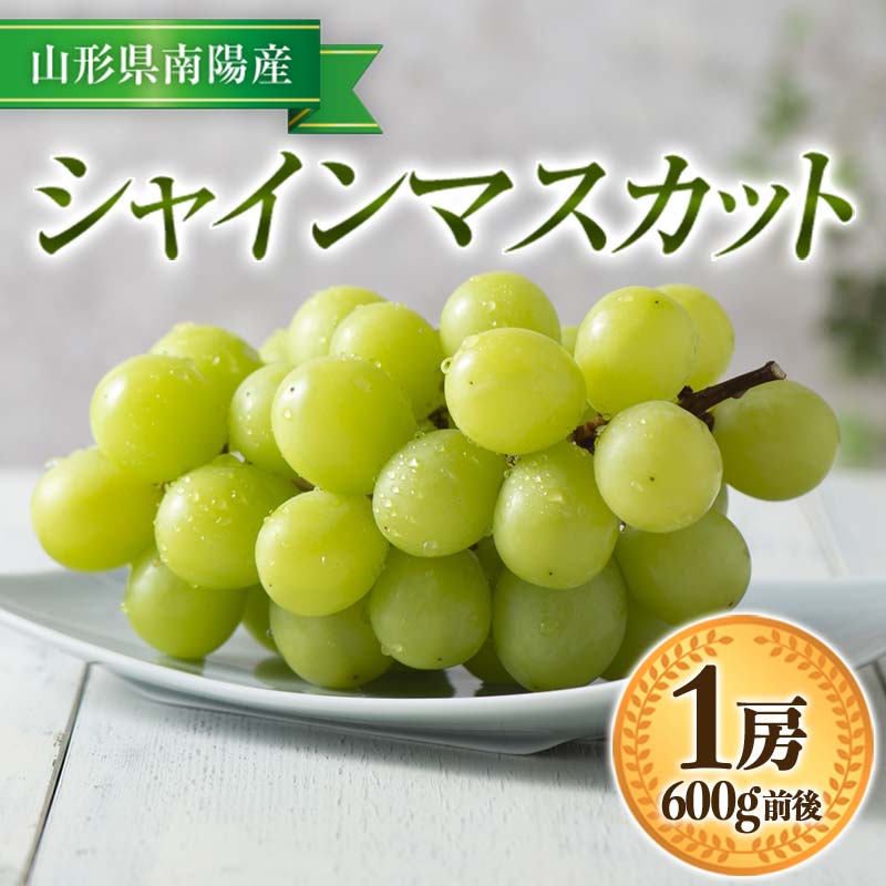 【令和8年産先行予約】 シャインマスカット 600g前後 (1房) 《令和8年9月中旬～発送》 『漆山果樹園』 マスカット 葡萄 ぶどう ブドウ 果物 フルーツ デザート 山形県 南陽市 [811-R8]